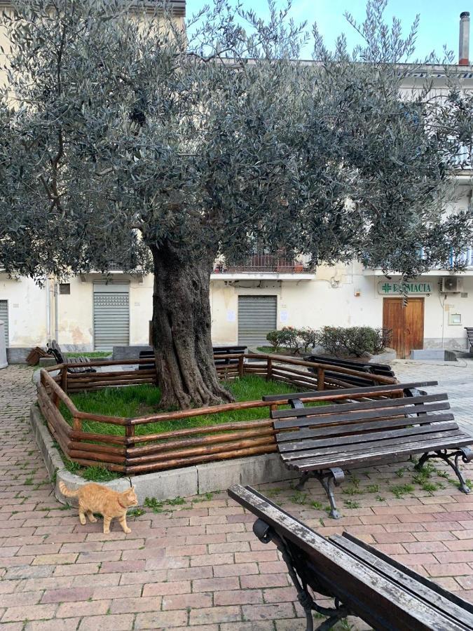 B&B Il Vicoletto Olevano sul Tusciano Dış mekan fotoğraf
